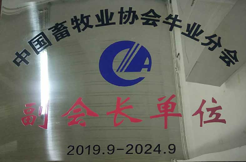 （425）201909中国畜牧业协会牛业分会副会长单位（大牌）.jpg